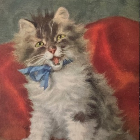 ~Welcome to my Closet~ - Picture 14 of 15